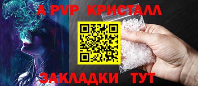 a pvp Новозыбков