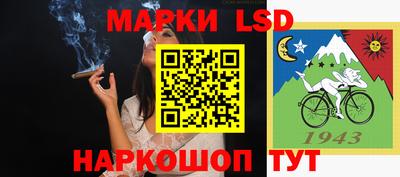 a pvp Новозыбков