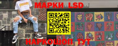 a pvp Новозыбков