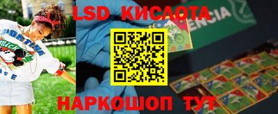 a pvp Новозыбков
