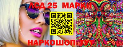 гидра Новодвинск