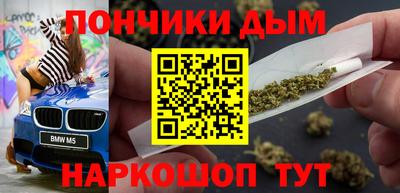 гидра Новодвинск