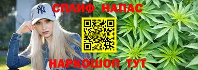 гидра Новодвинск