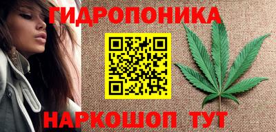 гидра Новодвинск