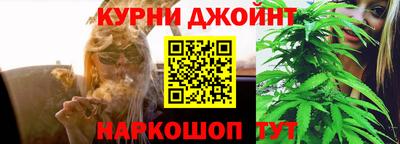 a pvp Новозыбков