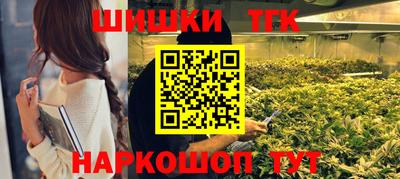 гидра Новодвинск