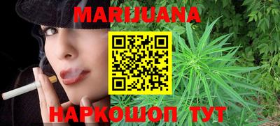 a pvp Новозыбков