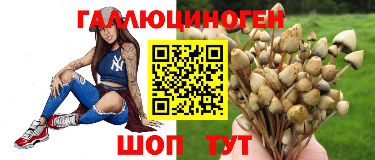 Галлюциногенные грибы Cubensis Новошахтинск