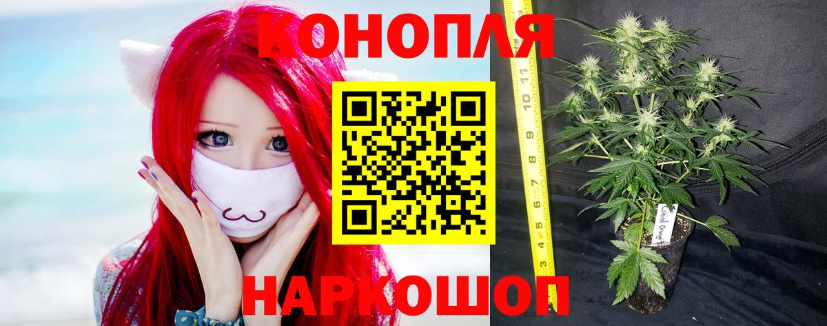Бошки Шишки ГИДРОПОН Новошахтинск